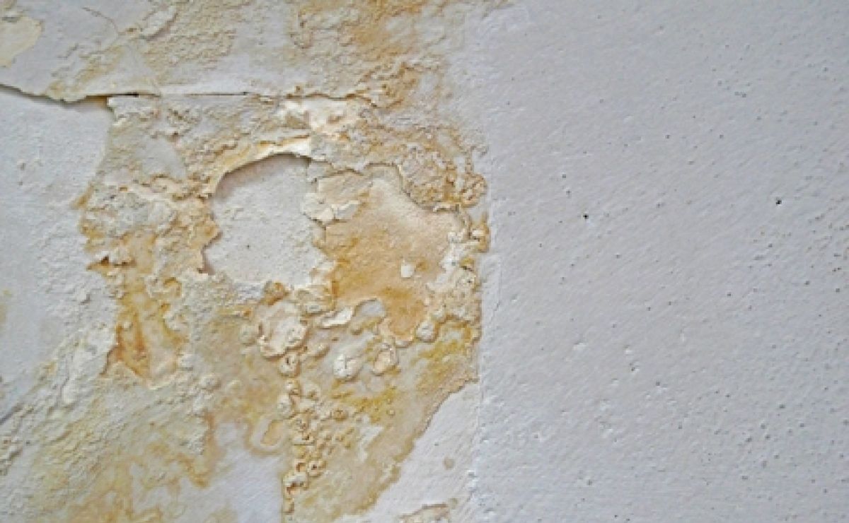 5 Signs You Have a Hidden Leak in Your Home